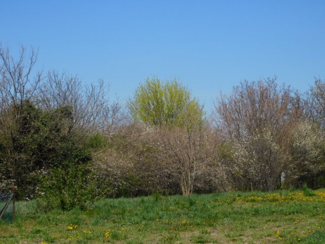 Eladó telek, Gyenesdiáson 37.9 M Ft / költözzbe.hu