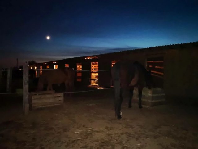 Eladó mezogazdasagi ingatlan, Fóton 149 M Ft