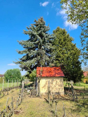 Eladó telek, Pakson 23.9 M Ft / költözzbe.hu