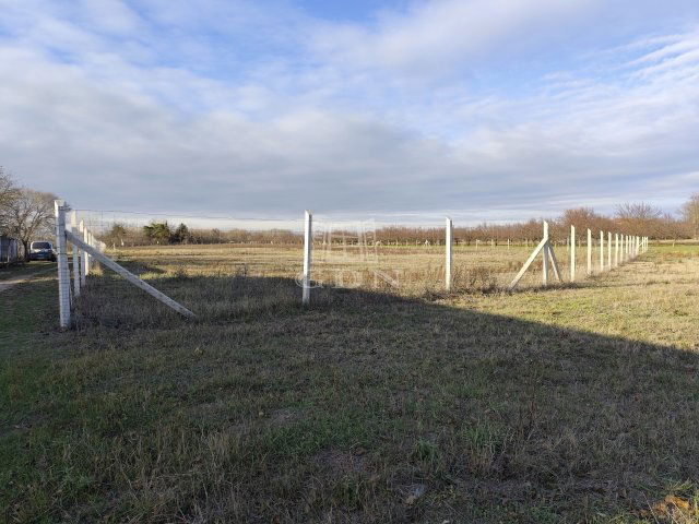 Eladó telek, Kecskeméten 18.5 M Ft / költözzbe.hu