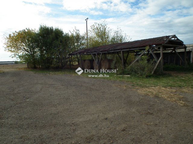 Eladó mezogazdasagi ingatlan, Nagytarcsán 99 M Ft, 1 szobás