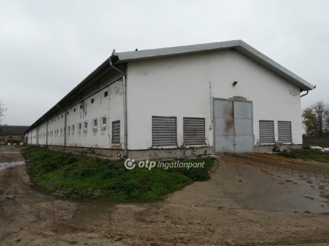 Eladó ipari ingatlan, Mezőhegyesen 300 M Ft / költözzbe.hu