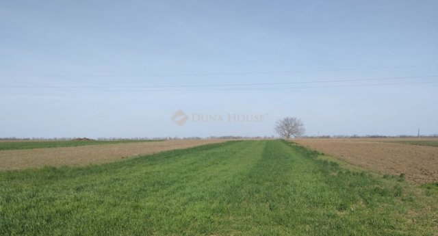 Eladó telek, Polgárdin 10.8 M Ft / költözzbe.hu