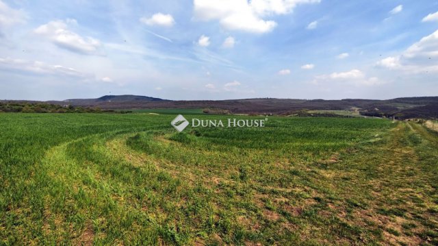 Eladó telek, Csabdiban 36.9 M Ft / költözzbe.hu