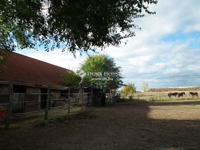 Eladó mezogazdasagi ingatlan, Nagytarcsán 99 M Ft, 1 szobás
