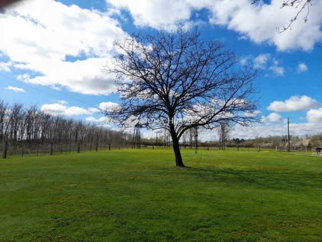 Eladó mezogazdasagi ingatlan, Szigetváron 65 M Ft, 4 szobás