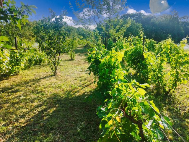 Eladó nyaraló, Gánton 14.9 M Ft, 2 szobás / költözzbe.hu