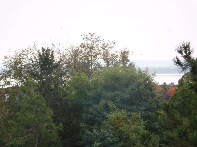 Eladó telek, Vonyarcvashegyen 34.5 M Ft / költözzbe.hu