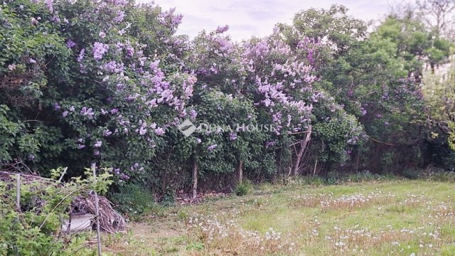 Eladó családi ház, Kónyon 32 M Ft, 3 szobás
