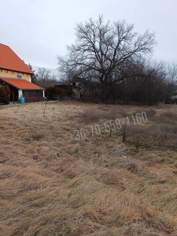 Eladó telek, Őrbottyánban, Szőlősor utcában 120 M Ft