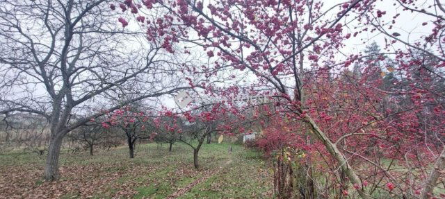 Eladó nyaraló, Vértesszőlősön 12.9 M Ft, 2 szobás