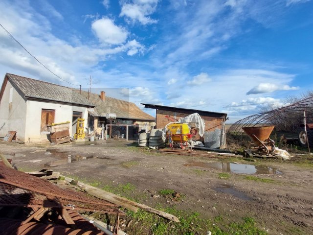 Eladó családi ház, Röszkén 20 M Ft, 4 szobás