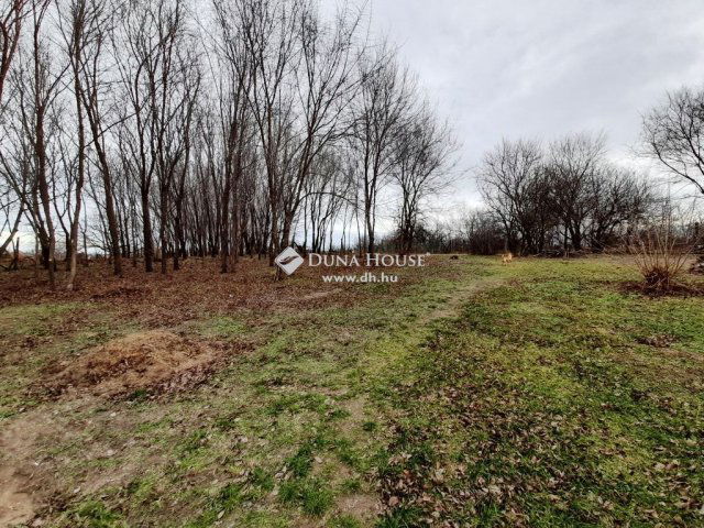 Eladó családi ház, Tóalmáson 44.5 M Ft, 5 szobás