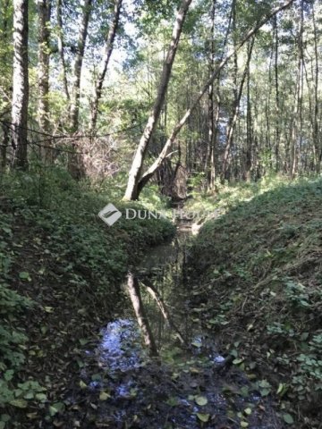 Eladó telek, Bagodon 12.49 M Ft / költözzbe.hu