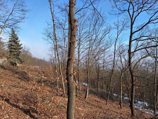 Eladó telek, Nagymaroson 29 M Ft / költözzbe.hu
