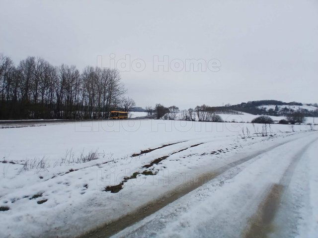 Eladó mezogazdasagi ingatlan, Környén 28 M Ft