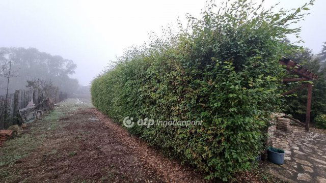 Eladó családi ház, Albertirsán 54.9 M Ft, 4+1 szobás