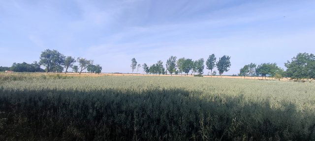 Eladó telek, Vasasszonyfán 12 M Ft / költözzbe.hu