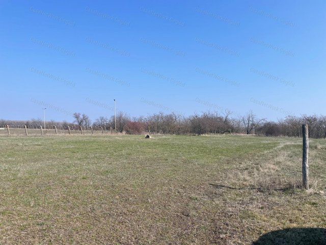 Eladó mezogazdasagi ingatlan, Szolnokon 45 M Ft