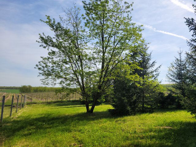 Eladó telek, Győrszemerén 11.5 M Ft / költözzbe.hu