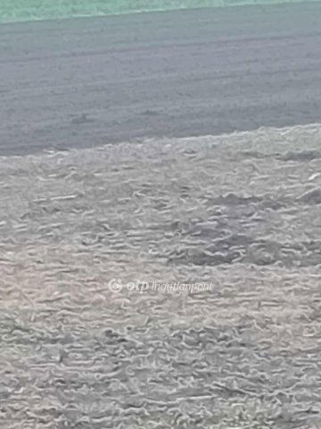 Eladó mezogazdasagi ingatlan, Derecskén 3.6 M Ft