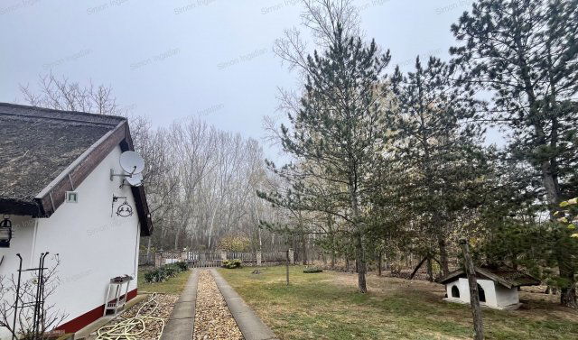 Eladó családi ház, Kecskeméten 350 M Ft, 7+1 szobás