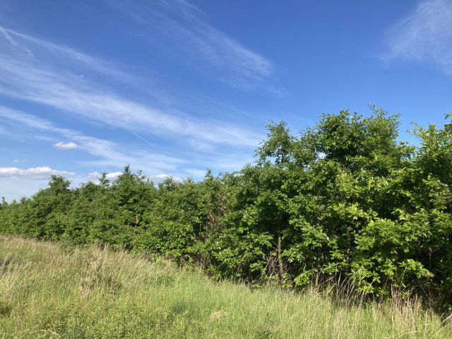 Eladó mezogazdasagi ingatlan, Hidegkúton 14.42 M Ft