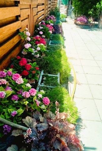 Eladó családi ház, Kiskunlacházán 73.9 M Ft