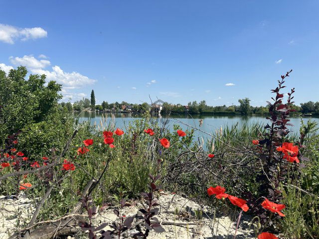 Eladó telek, Szigetszentmiklóson 19 M Ft / költözzbe.hu