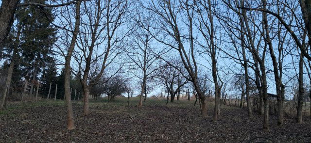 Eladó nyaraló, Nagybakónakon 9.9 M Ft, 1 szobás