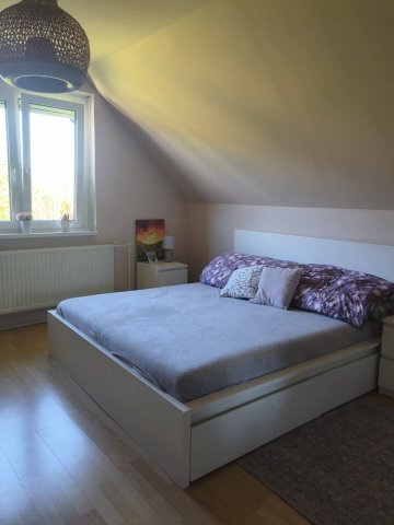 Eladó családi ház, Dömösön 125 M Ft, 5+1 szobás