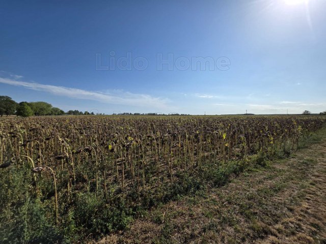 Eladó telek, Balatonkeresztúron 24.5 M Ft / költözzbe.hu