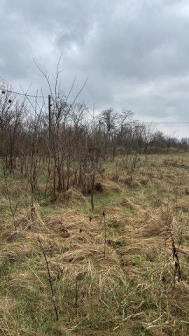 Eladó telek, Szadán 59.9 M Ft / költözzbe.hu