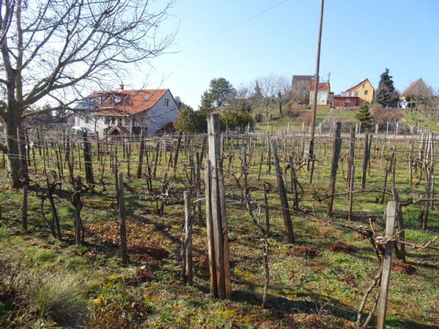 Eladó mezogazdasagi ingatlan, Csopakon 13.4 M Ft