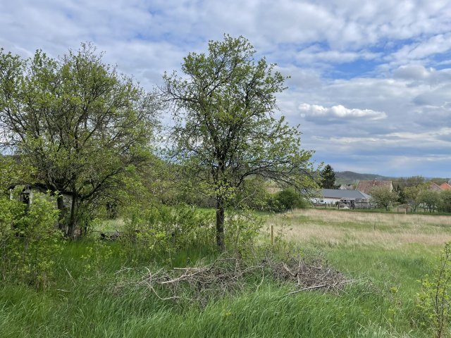 Eladó telek, Becskén 2.99 M Ft / költözzbe.hu