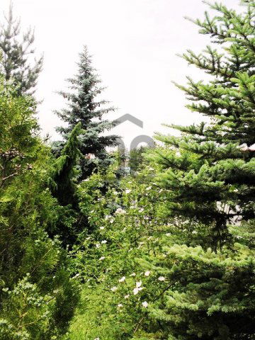 Eladó telek, Pátyon 20 M Ft / költözzbe.hu