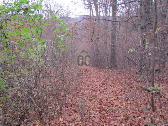 Eladó telek, Bükkszentkereszten 7.6 M Ft / költözzbe.hu