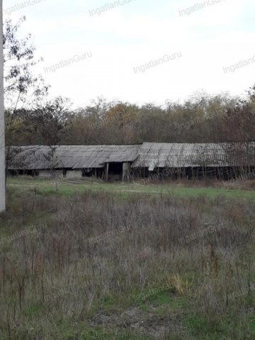 Eladó mezogazdasagi ingatlan, Lajosmizsén 99 M Ft