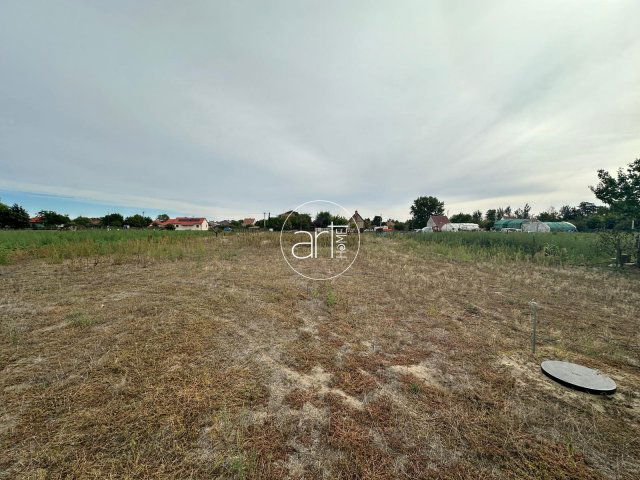 Eladó telek, Mórahalmon, Pacsirta dűlőn 12.5 M Ft