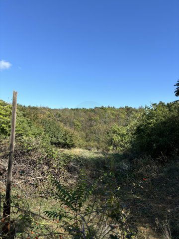 Eladó telek, Sukorón 15 M Ft / költözzbe.hu