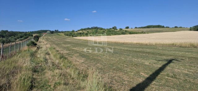 Eladó mezogazdasagi ingatlan, Mogyoródon 15.5 M Ft