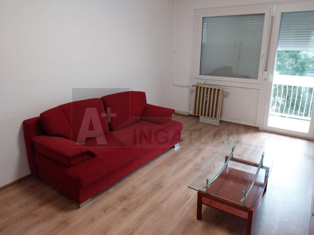 Kiadó panellakás, albérlet, Szegeden 140 E Ft / hó, 1 szobás