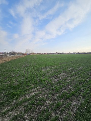 Eladó telek, Pápán 59.9 M Ft / költözzbe.hu