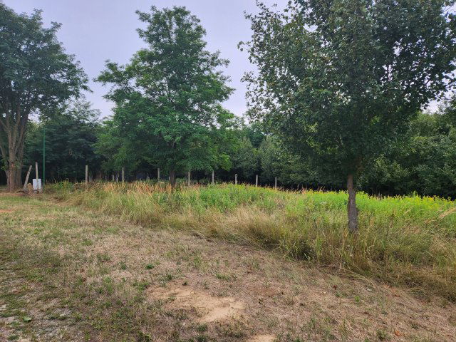 Eladó telek, Bárdudvarnokon 8.9 M Ft / költözzbe.hu