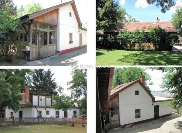 Eladó mezogazdasagi ingatlan, Lajosmizsén 300 M Ft