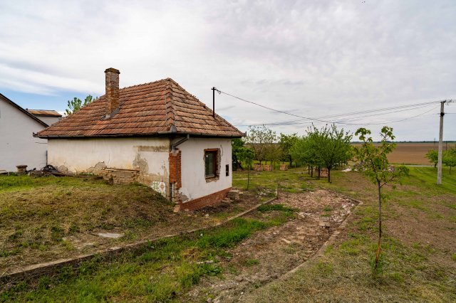 Eladó mezogazdasagi ingatlan, Decsen 5.5 M Ft