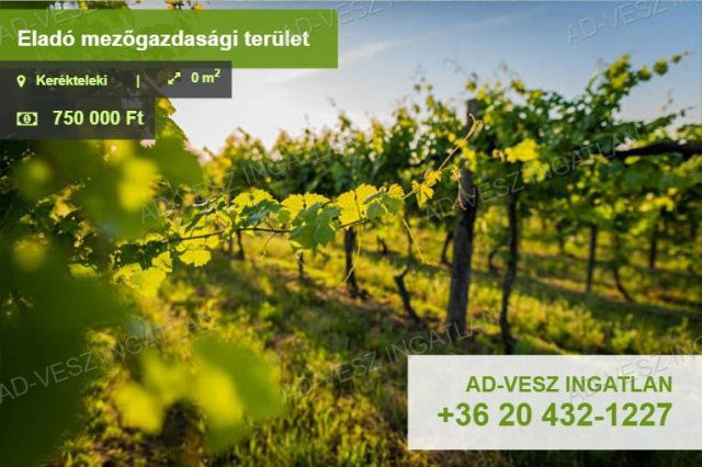 Eladó mezogazdasagi ingatlan, Keréktelekin 0.75 M Ft
