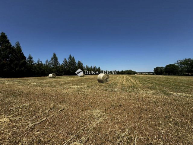 Eladó mezogazdasagi ingatlan, Nagyvázsonyon 190 M Ft