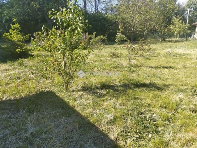 Eladó családi ház, Bodajkon 28 M Ft, 3 szobás