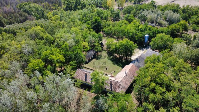 Eladó családi ház, Orgoványon 75 M Ft, 4 szobás